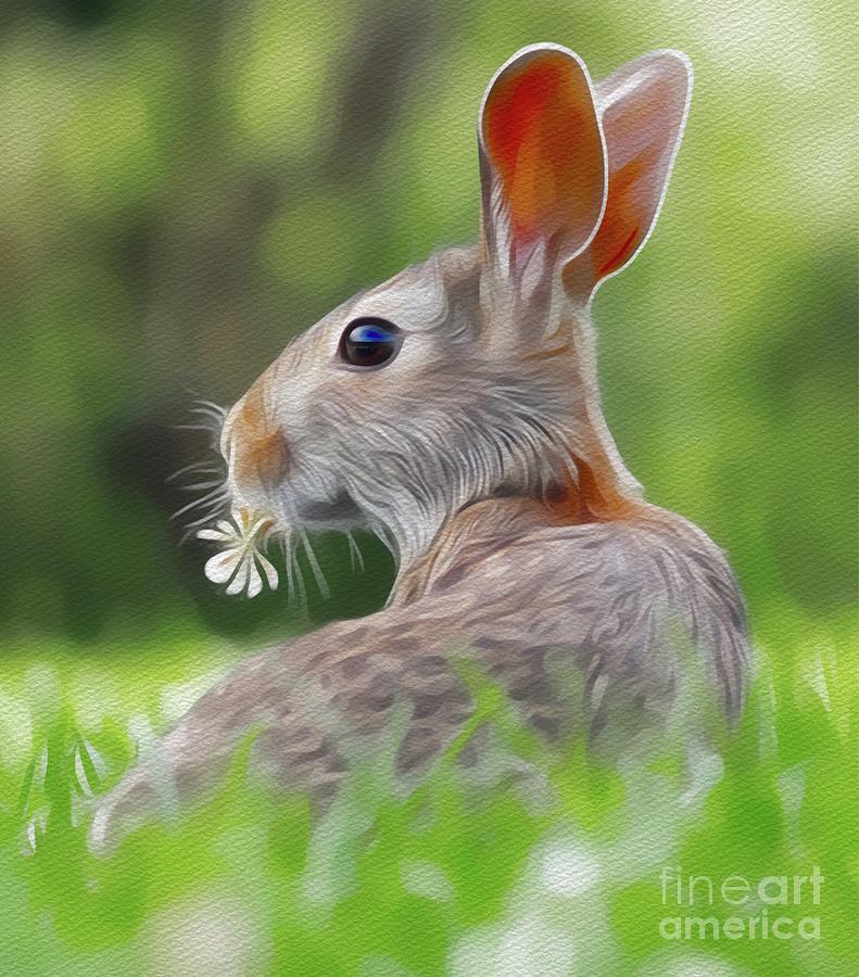 Mr Rabbit Painting