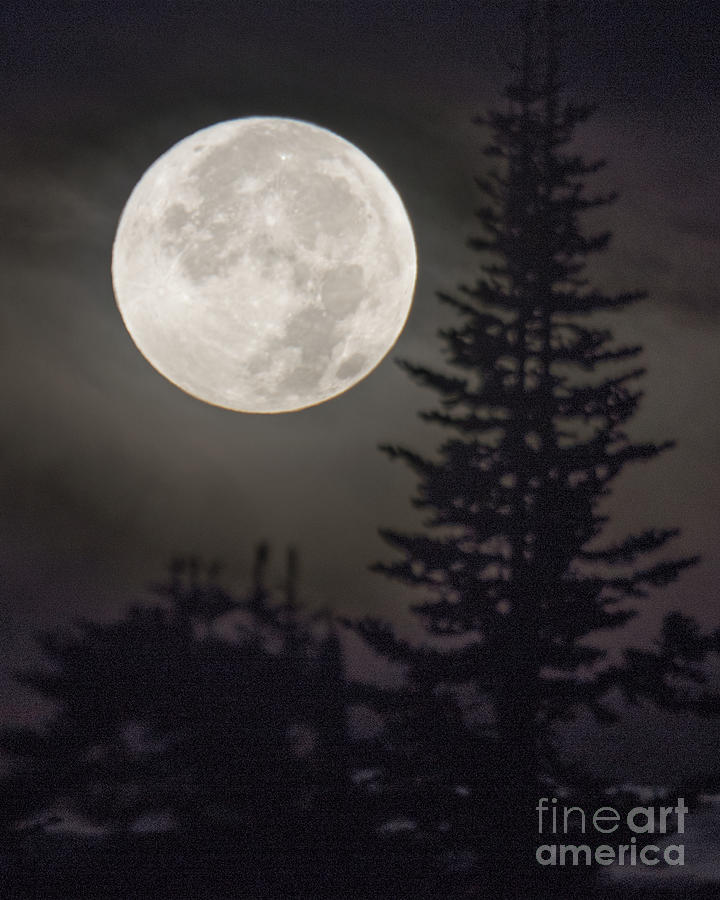 Mr Rainier Full Moon Photograph by Steven Natanson