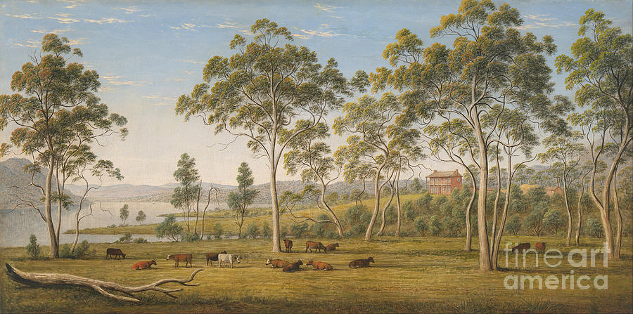 John Glover Painting - Mr Robinsons house on the Derwent Van Diemens Land by Celestial Images