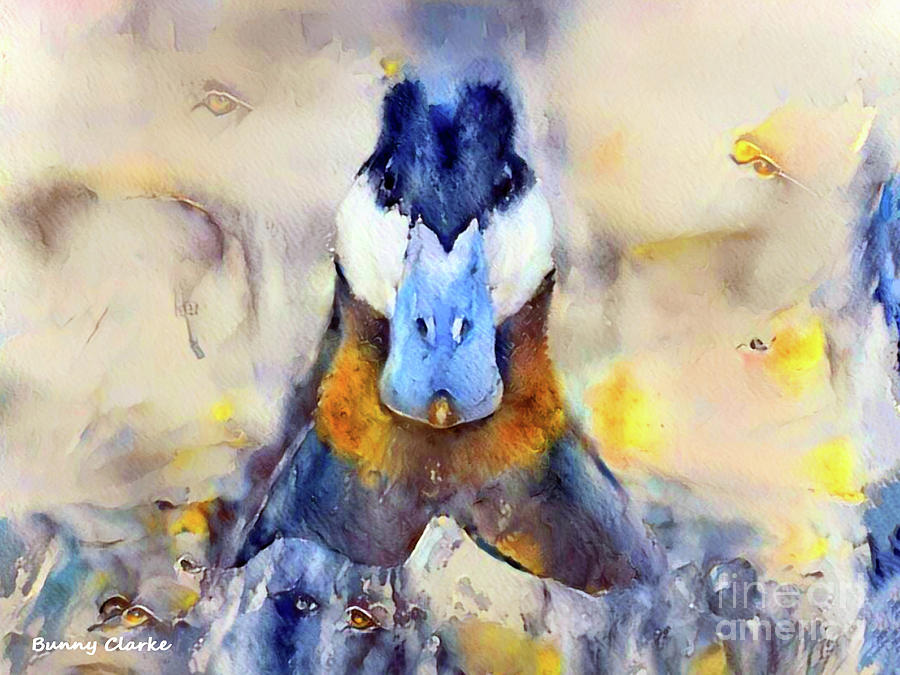 Mr. Ruddy Duck Digital Art by Bunny Clarke