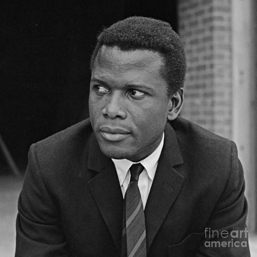 Mr. Sidney Poitier Painting by Pd - Fine Art America