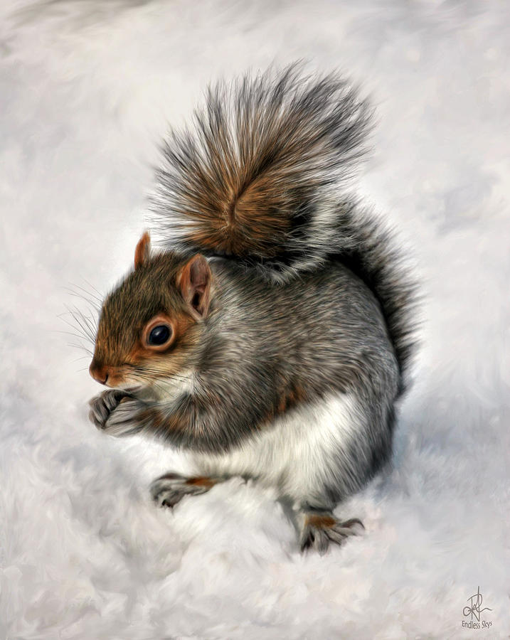 Mr. Squirrel Photograph by Pennie McCracken