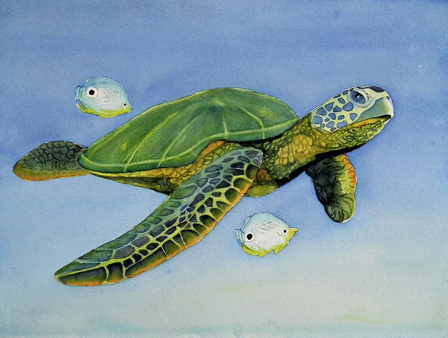 Mr. Turtle II Painting by Sharlotte Smith - Fine Art America