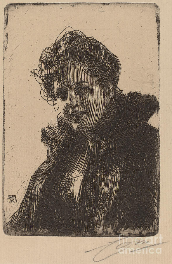 anders zorn drawings