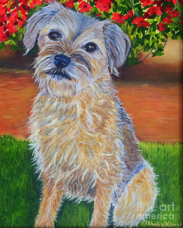 Border Terrier Painting by Shelia Kempf