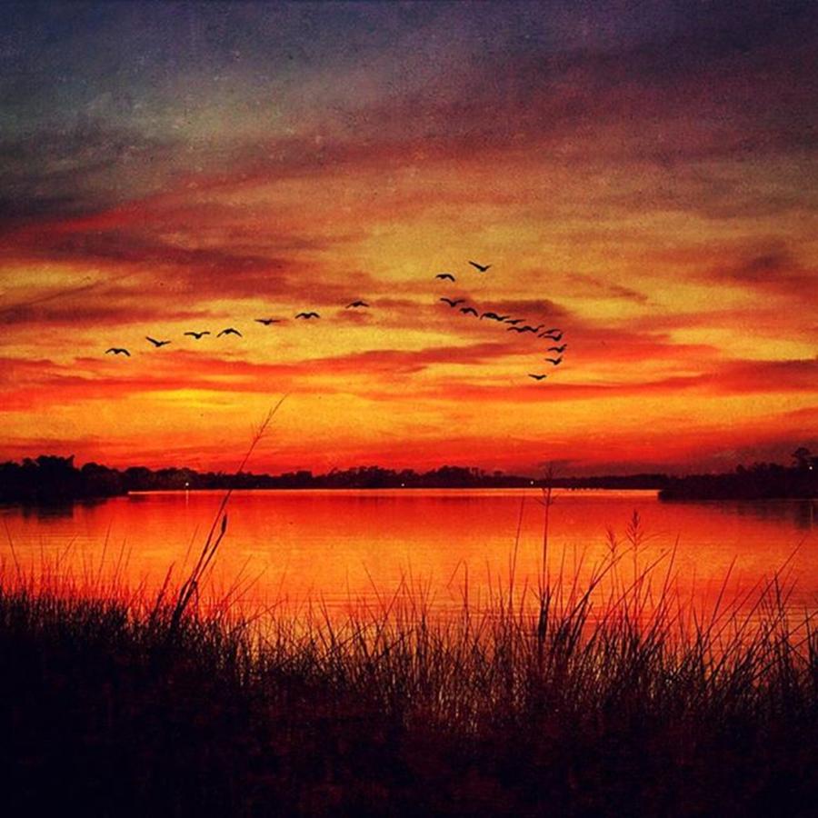 Ms Gulf Coast Sunset #distressedfx Photograph by Joan McCool