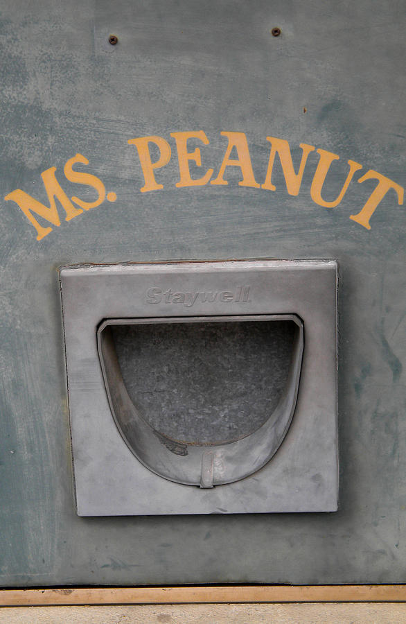 Ms. Peanut Photograph by Glory Ann Penington
