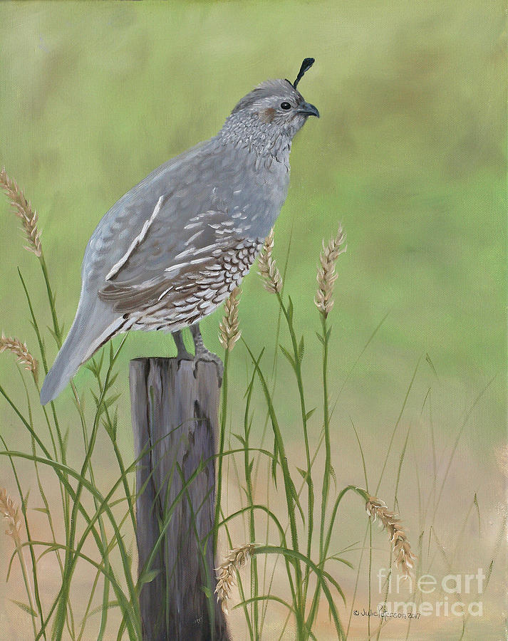 Ms Quail Painting by Julie Peterson