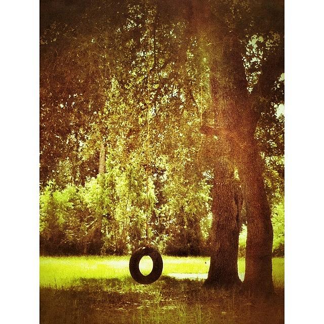 Tree Photograph - #msgulfcoast #swing #tree by Joan McCool