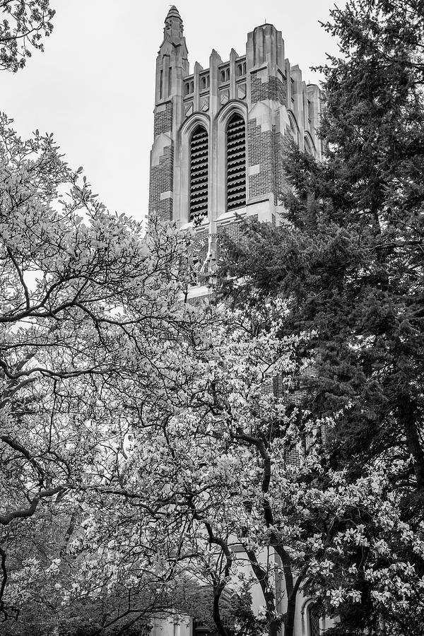 MSU Beaumont Tower Black and White 3 Photograph by John McGraw