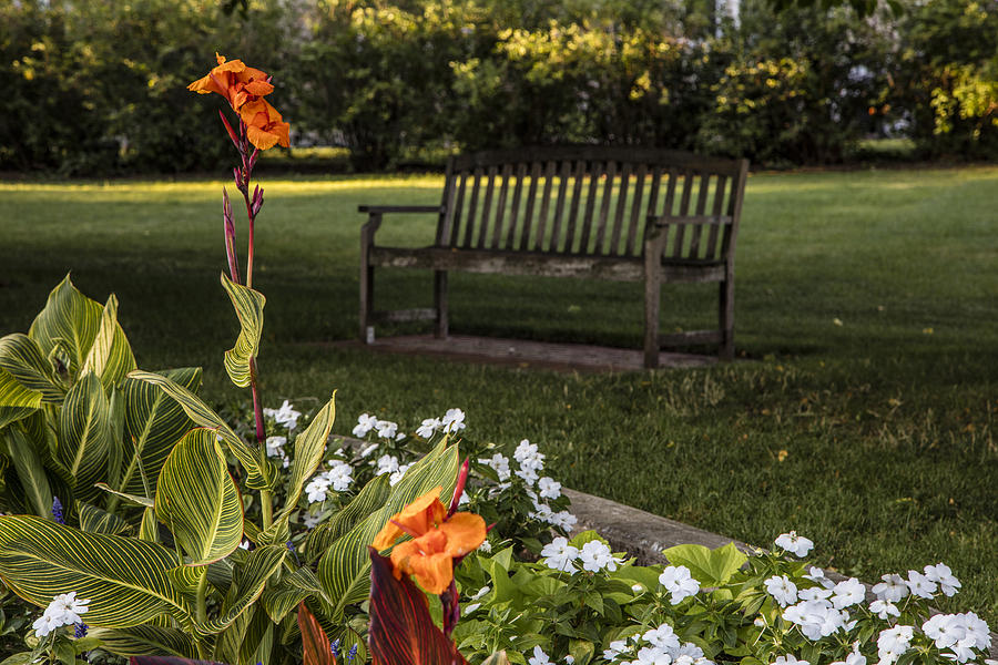 MSU Flower and Bench Photograph by John McGraw