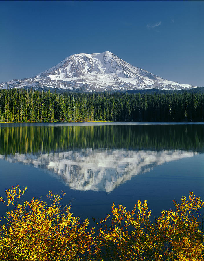5M4922-Mt. Adams Fall Colors Reflect  Photograph by Ed  Cooper Photography