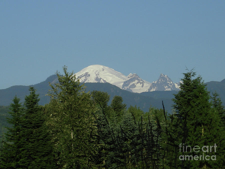 Mountain Photograph - Mt Baker Above the Trees by James E Weaver