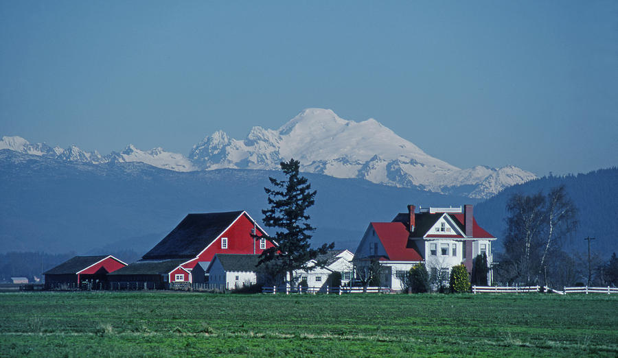 M-A4311-Mt. Baker and Farmhouses  Photograph by Ed  Cooper Photography