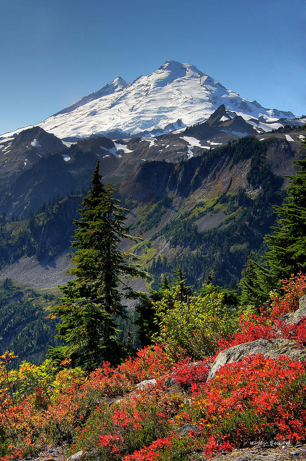 Mountain Photograph - Mt. Baker Autumn by Winston Rockwell Mountain Photograph - Mt. Baker Autumn by Winston Rockwell