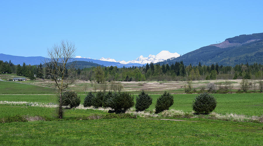 Mt Baker From The South Photograph by Tom Cochran