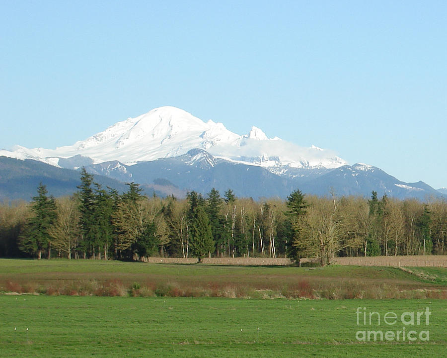 Mt Baker in View Photograph by James E Weaver