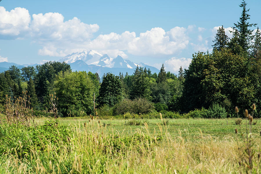 Mt Baker on August 12 Photograph by Tom Cochran