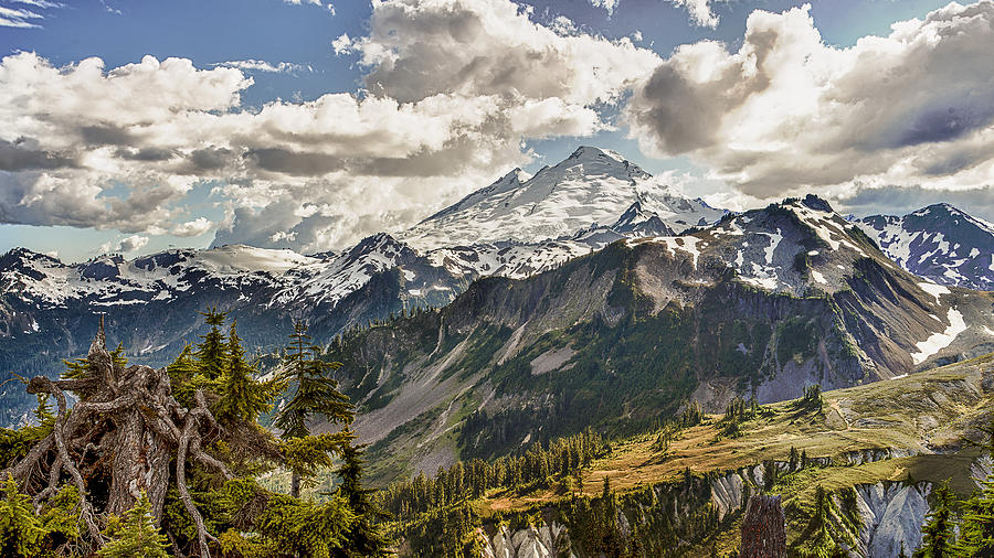 Mt Baker Panoramic Photograph by Tony Locke