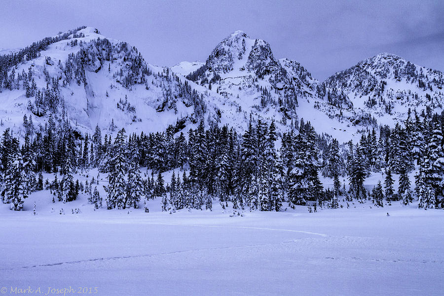Mt. Baker Powder Photograph by Mark Joseph
