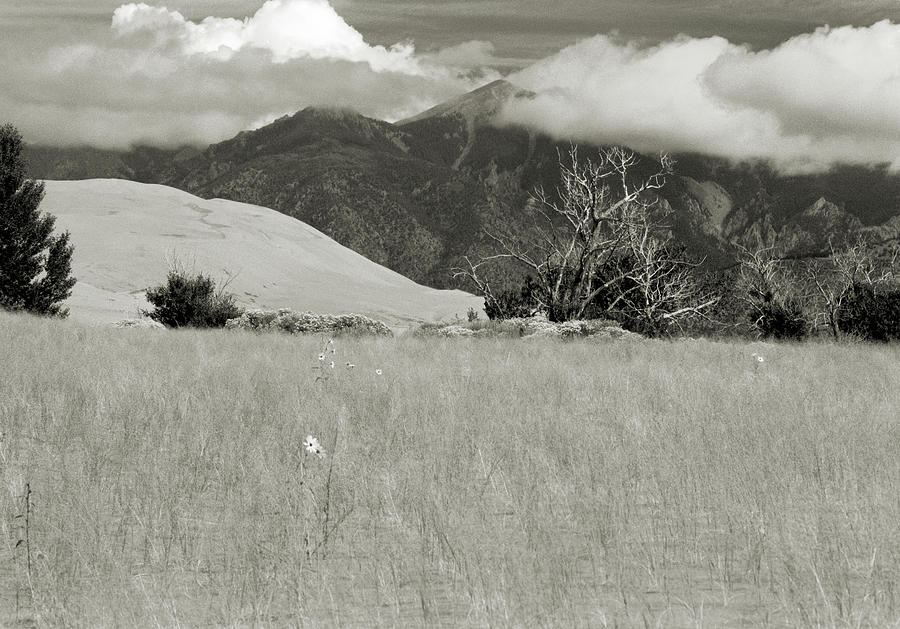 Mt. Blanca Photograph by Scott Kingery