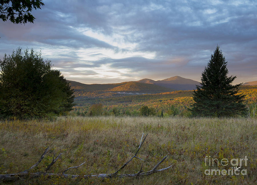 Mt. Blue Autumn Sunrise Photograph by Alana Ranney