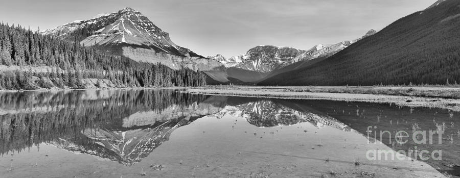 Mt Chephren Golden Reflections Black And White Photograph by Adam Jewell