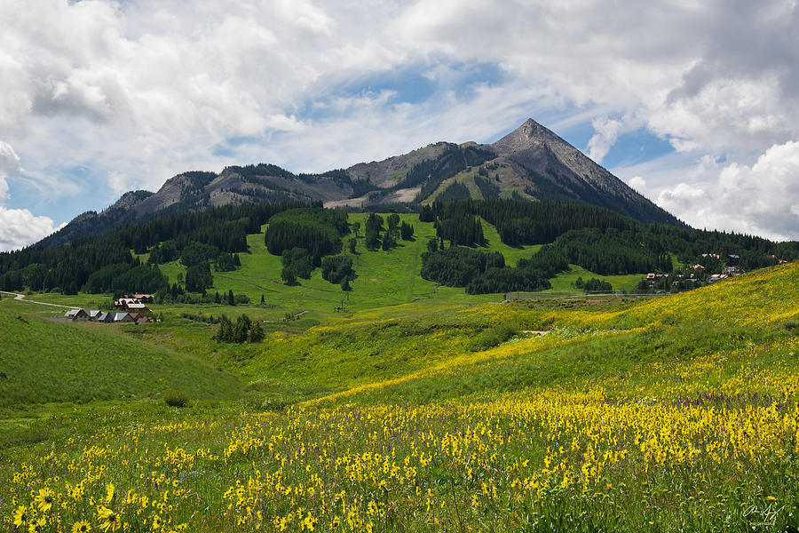 Mt. Crested Butte Photograph by Aaron Spong