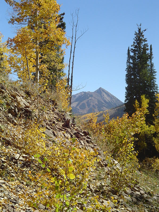 Mt. Crested Butte in Fall Photograph by Gerri Duke