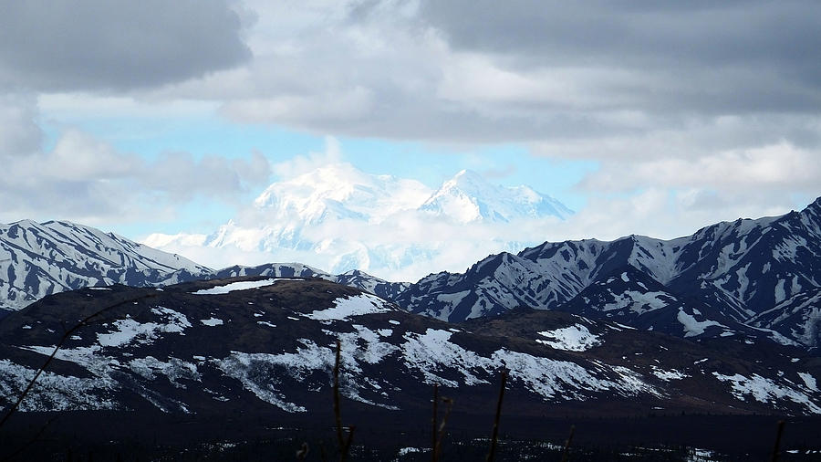 Mt. Denali in Her Glory Photograph by Judy Wanamaker