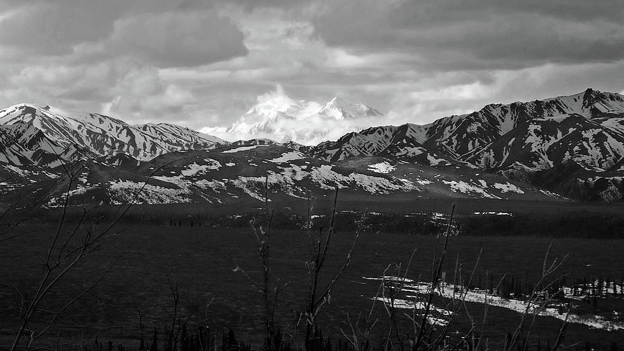 Mt. Denali view 2  Black and White Photograph by Judy Wanamaker