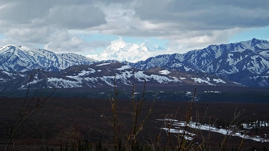 Mt. Denali view 2 Photograph by Judy Wanamaker