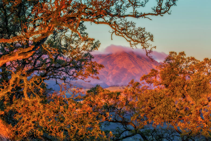 Mt. Diablo Framed at Sunrise Photograph by Marc Crumpler