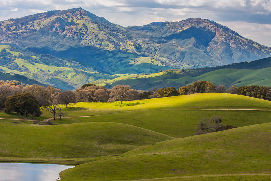 Mt. Diablo on a Spring Afternoon Photograph by Marc Crumpler