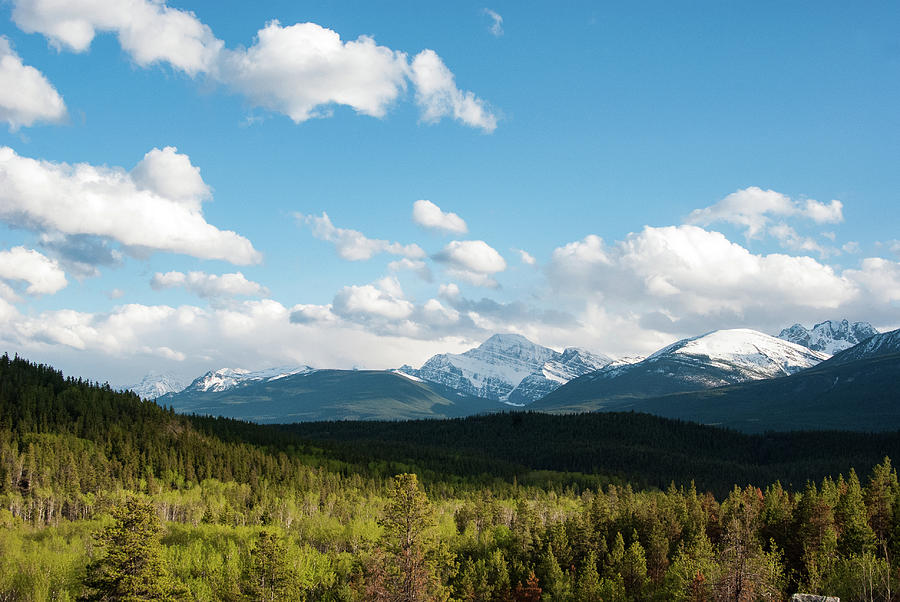 Mt. Edith Cavell Photograph by David Finlayson - Pixels