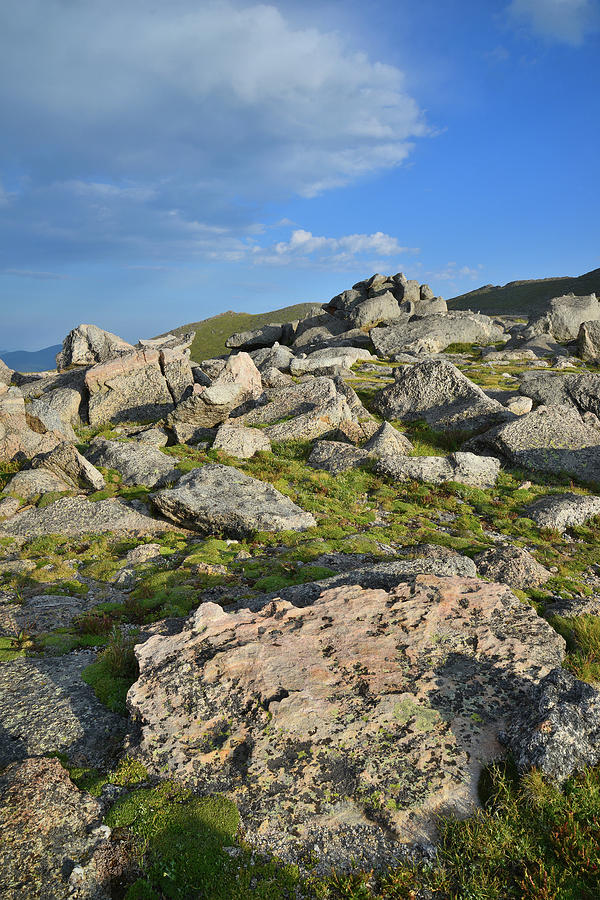 Mt. Evans Boulder Field Photograph by Ray Mathis