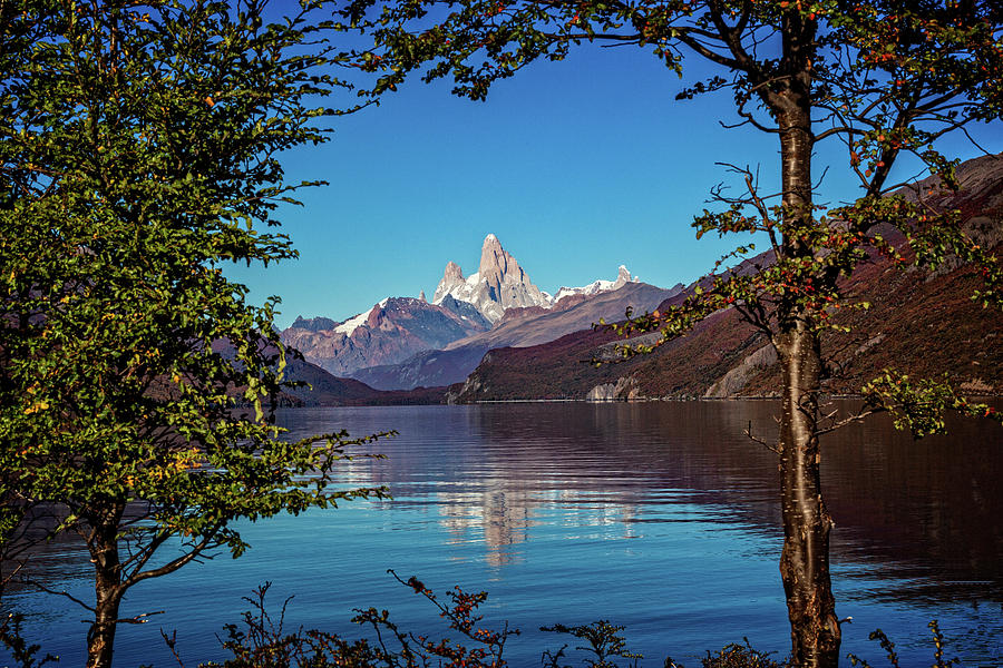 Mt. Fitzroy on the Chilean border Photograph by Steven Upton