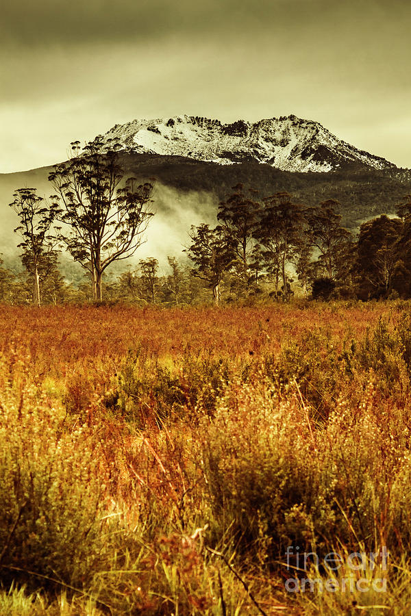 Mt Gell. Tasmania national park of Franklin Gordon Photograph by Jorgo Photography