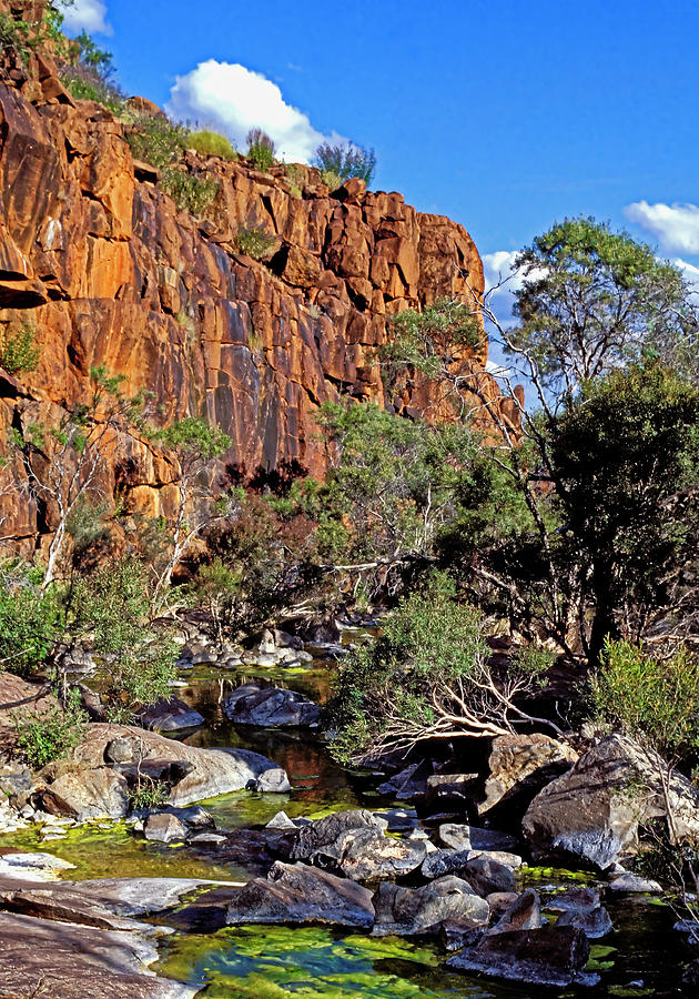 Mt Hay Creek - Central Australia Photograph by Steven Ralser
