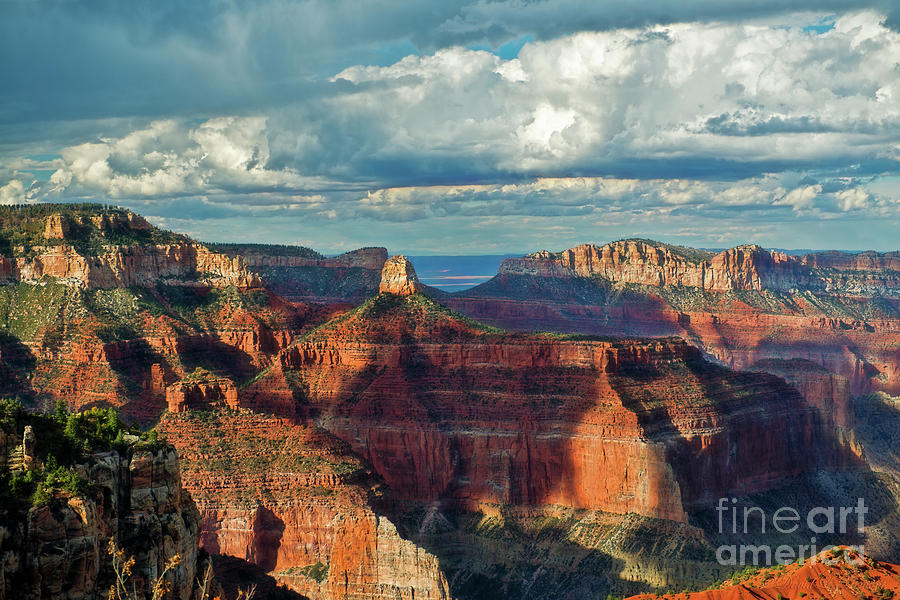 Mt Hayden Grand Canyon National Park Photograph by David Arment