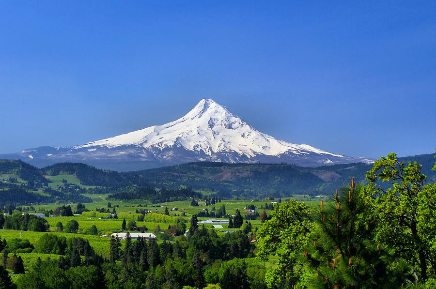 Mt Hood and The Hood River Valley Photograph by Don Siebel