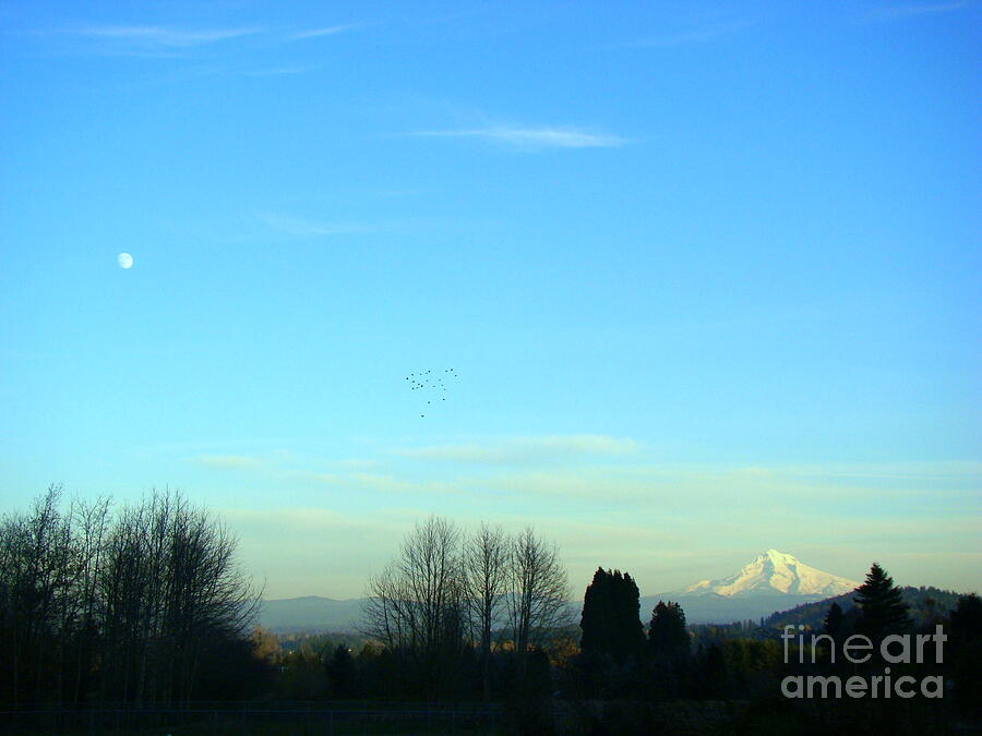 Mt Hood and the Moon Photograph by Lisa Rose Musselwhite