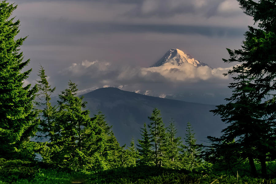 Mt Hood from Grassy Knoll Photograph by Albert Seger