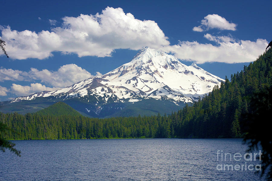 Mt Hood from Lost Lake Photograph by Bruce Block