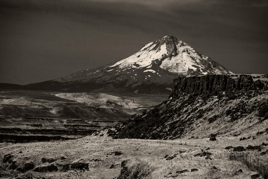 Mt Hood from SE Washington Photograph by Mick Anderson