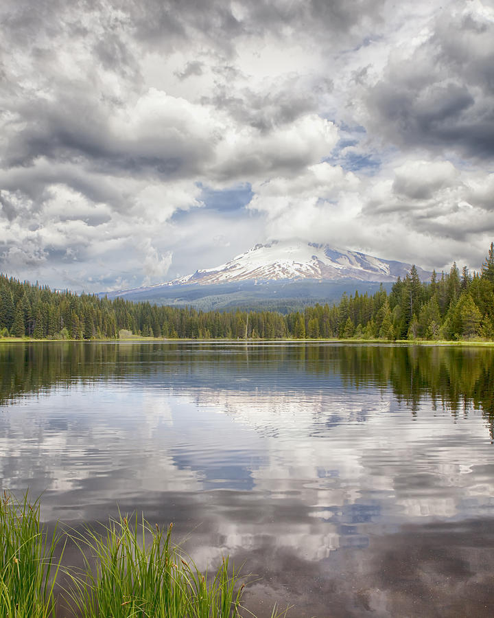 Mt Hood from Trilliam Lake Photograph by Harold Rau