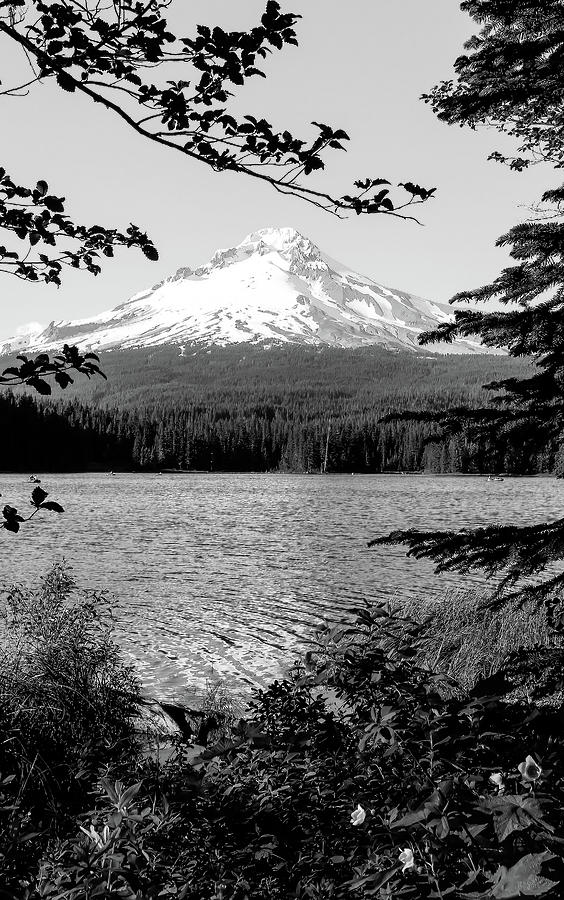 Mt. Hood In Oregon BW Photograph by Athena Mckinzie