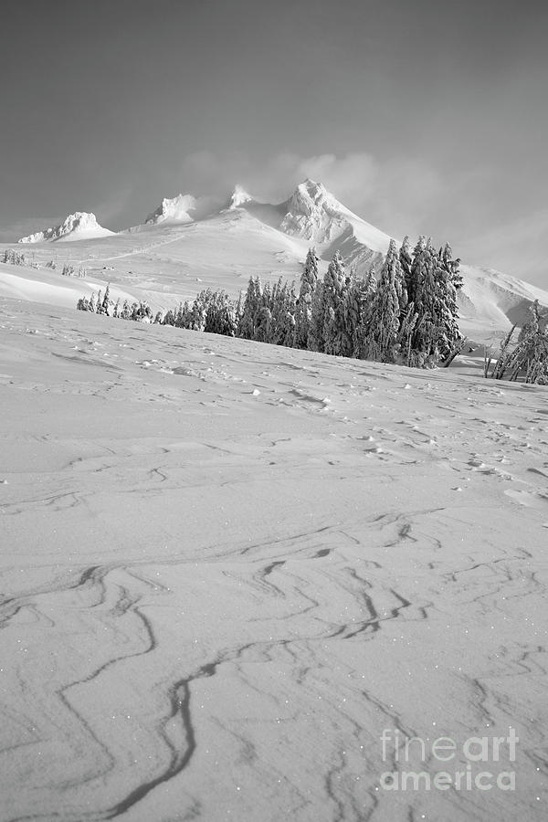 Mt Hood in winter from timberline lodge Photograph by Bruce Block