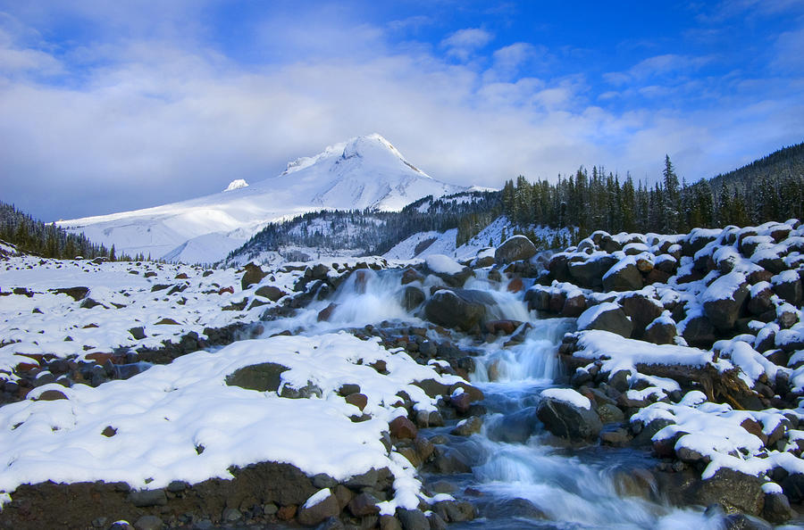 Winter Photograph - Mt. Hood Morning by Michael Dawson
