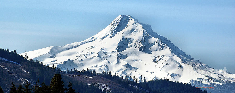 Mt Hood Oregon  Photograph by Don Siebel